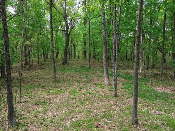 694A Tunnel Ridge Rd, Argillite, KY 41121