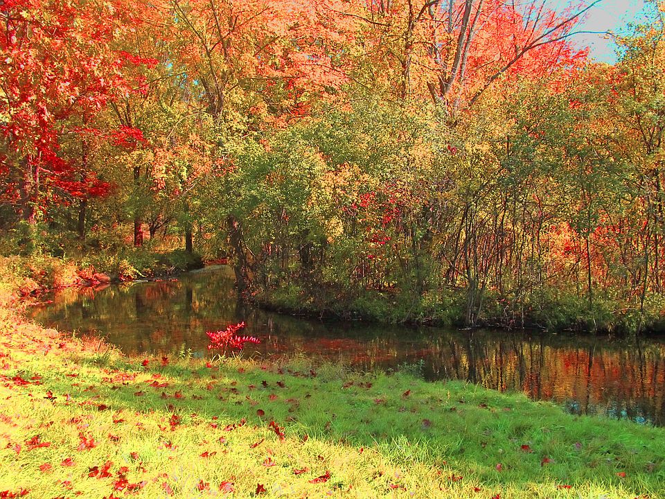 14162 Beadle Lake Rd, Battle Creek, MI 49014 Zillow