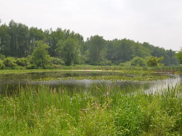 4500 S 42nd St, Climax, MI 49034