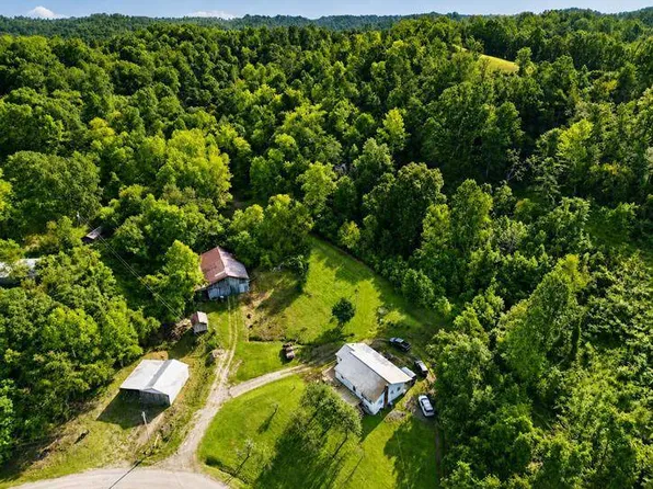 14448 Guyan Creek Rd, Glenwood, WV 25520
