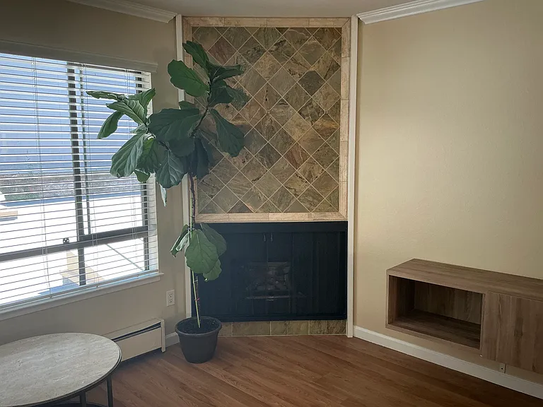 Gas fireplace