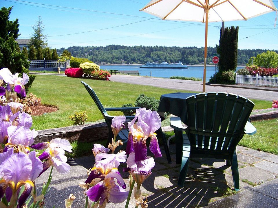 Patio View