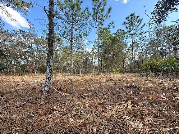 4th image of 8951 N CITRUS SPRINGS BOULEVARD