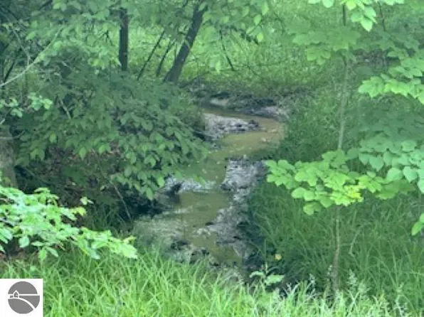 McKinney Rd, Central Lake, MI 49622