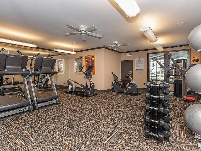 Connally at Clear Creek 55+ Apartments — Photo 10