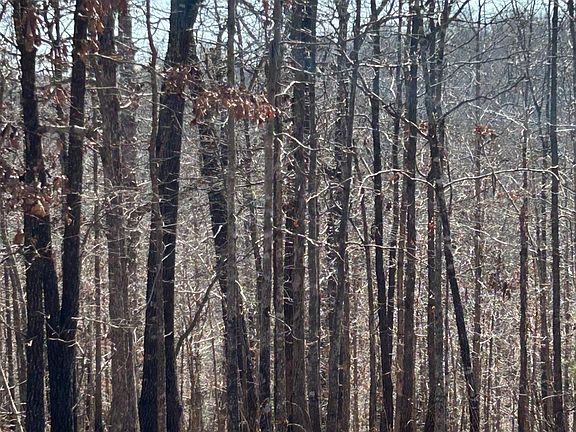 2nd image of 71 McFadden & Springwood Acres Rd