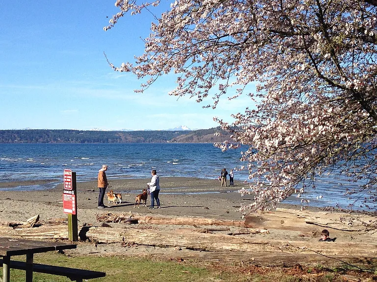 Nearby Dash Point State Park: offering 400 acres on Puget Sound for swimming, camping, hiking, biking & hand-launched boats.