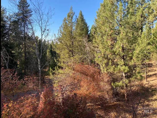 431 Wilhelm Creek Ct, McCall, ID 83638