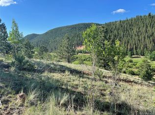 108 Wilkins Rd, Bailey, CO 80421