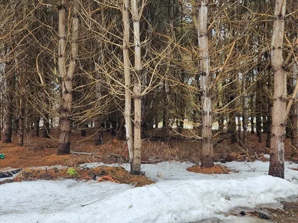 54 E Main St, Plainfield, MA 01070