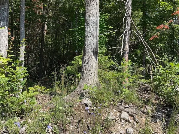 LOT 30 White Valley Rd, Trent Lakes, ON K0M 1A0