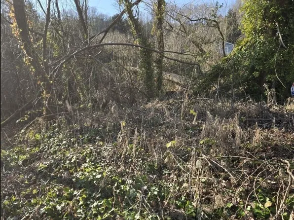 8826 3rd Avenue S, Seattle, WA 98108