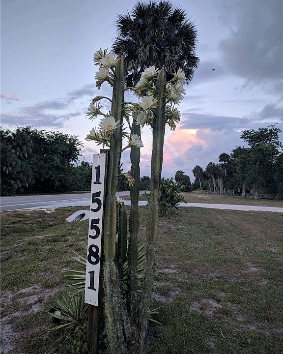 1st image of 15581 E State Road 78