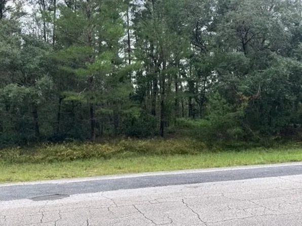 5809 W Costa Mesa Ln, Beverly Hills, FL 34465