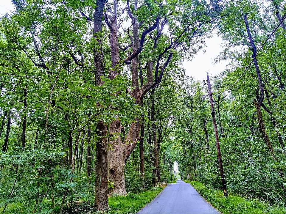 Country rd 1 mile from rt.7