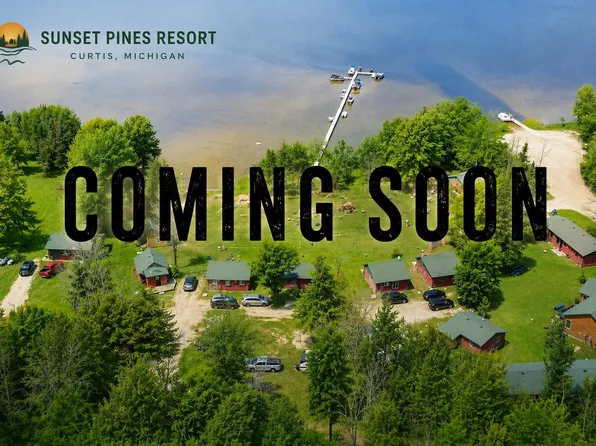 17461 W Norton Rd, Gould City, MI 49838