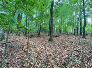 LOT 5 Mount Pleasant Rdg, Blairsville, GA 30512