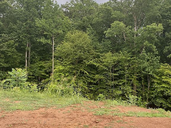 4th image of 556 Summit View Cir Lot 29