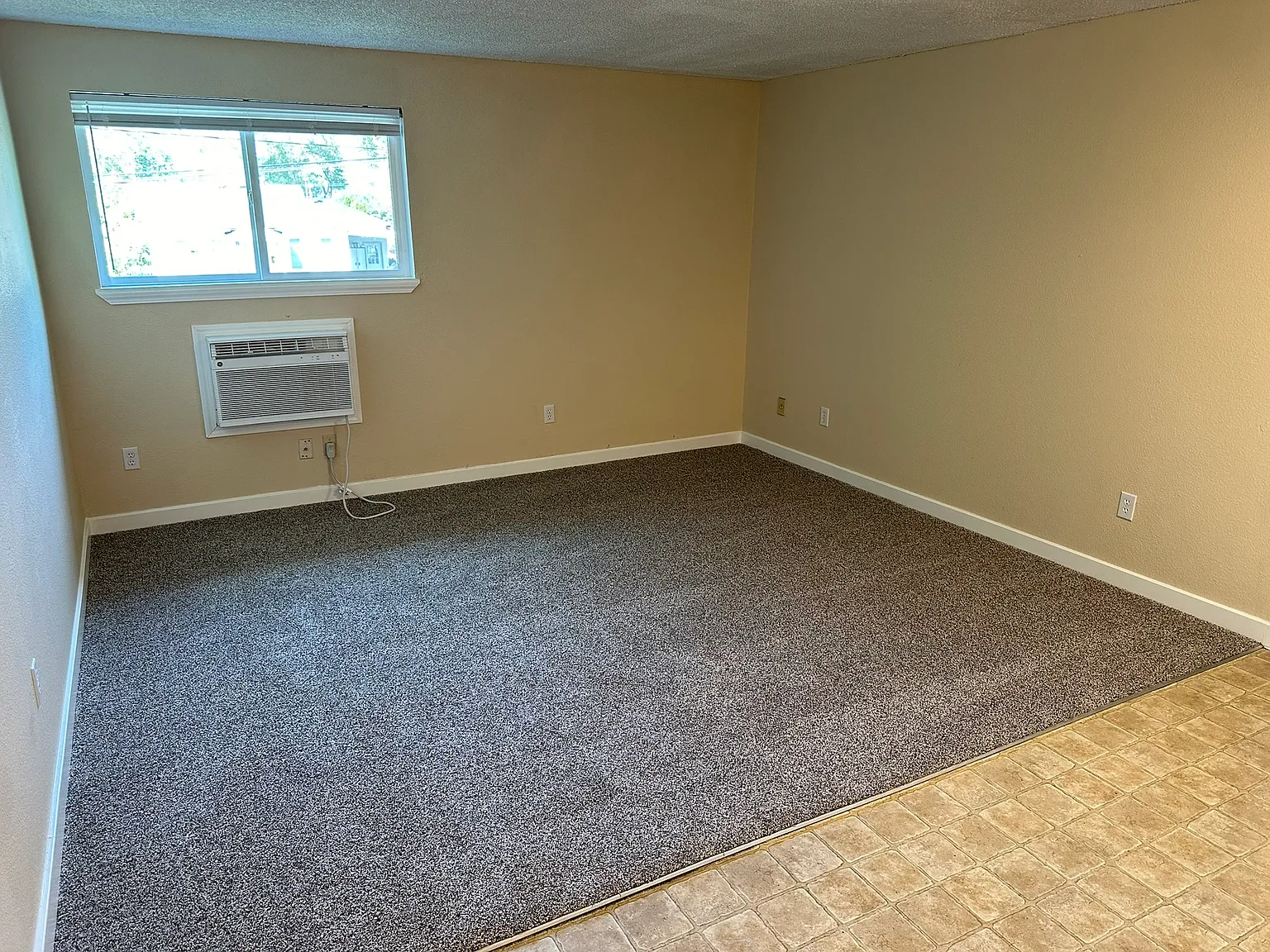 2 bed, 915 sqft, $1,250 — Photo 4