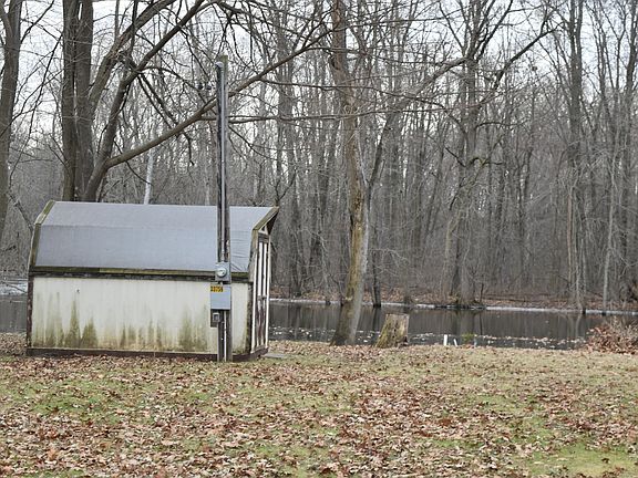 4th image of 33759 Chipper Dr