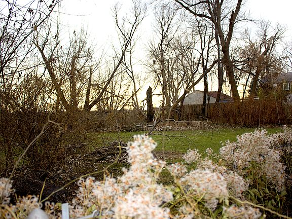 backyard view from driveway