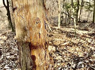 1794 N 300th Rd, Baldwin City, KS 66006