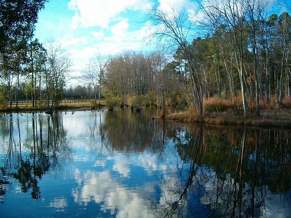 Stocked fish lakes and widlife viewing