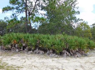 9981 N Cheyenne Ave, Dunnellon, FL 34433