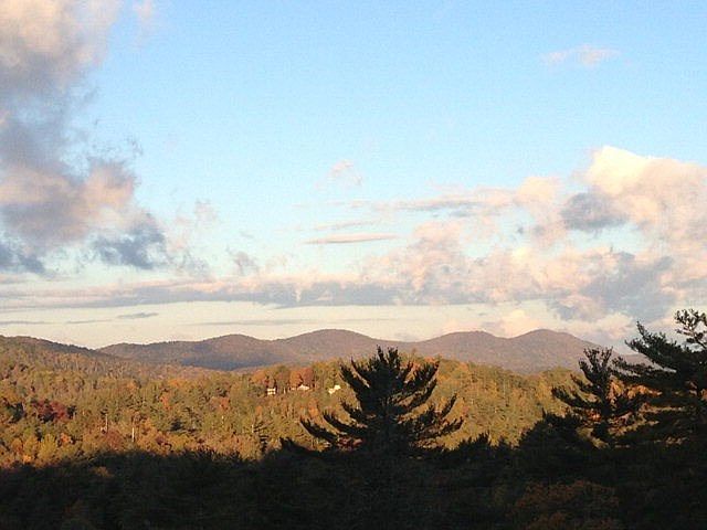 Main View