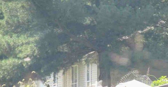 1st image of 18630 Posen Rd