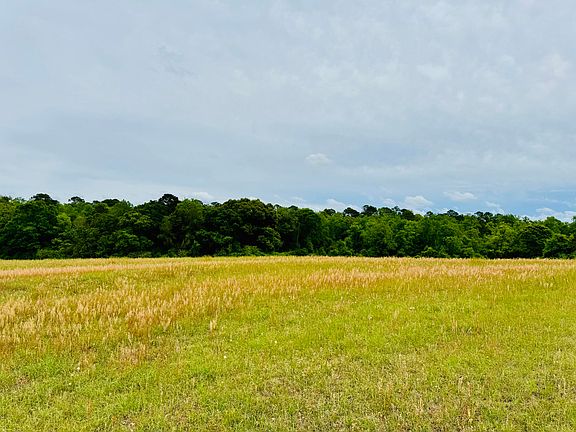 3rd image of 19 Acres Hwy #55