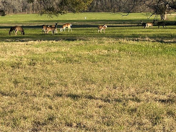 5th image of 331 Green Pasture Ct Lot 18