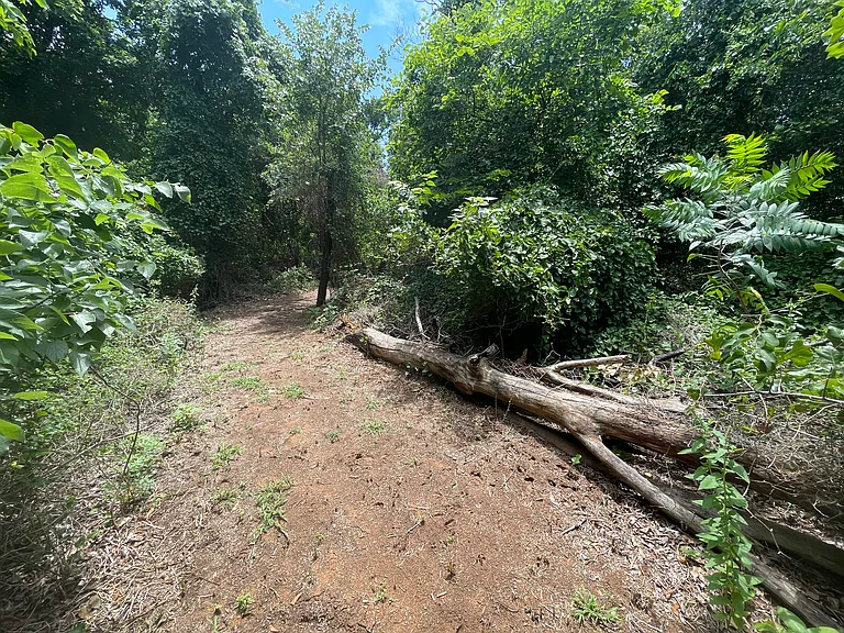 private walking trails (4)