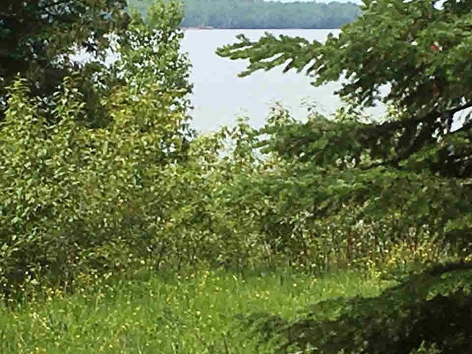 X Tierra Road Plat Of Tierra Shrs LOT 3, Cornucopia, WI 54827 Zillow