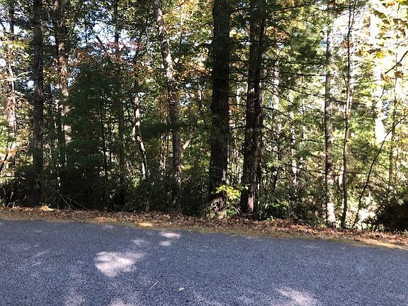5th image of Swiss Pine Lake Dr