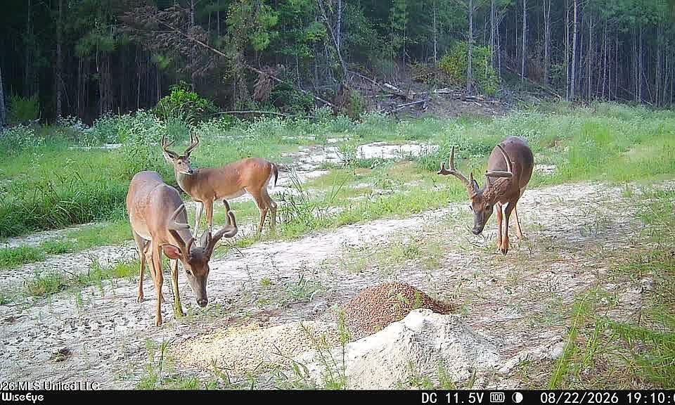 1st image of NW Ben Briggs Rd
