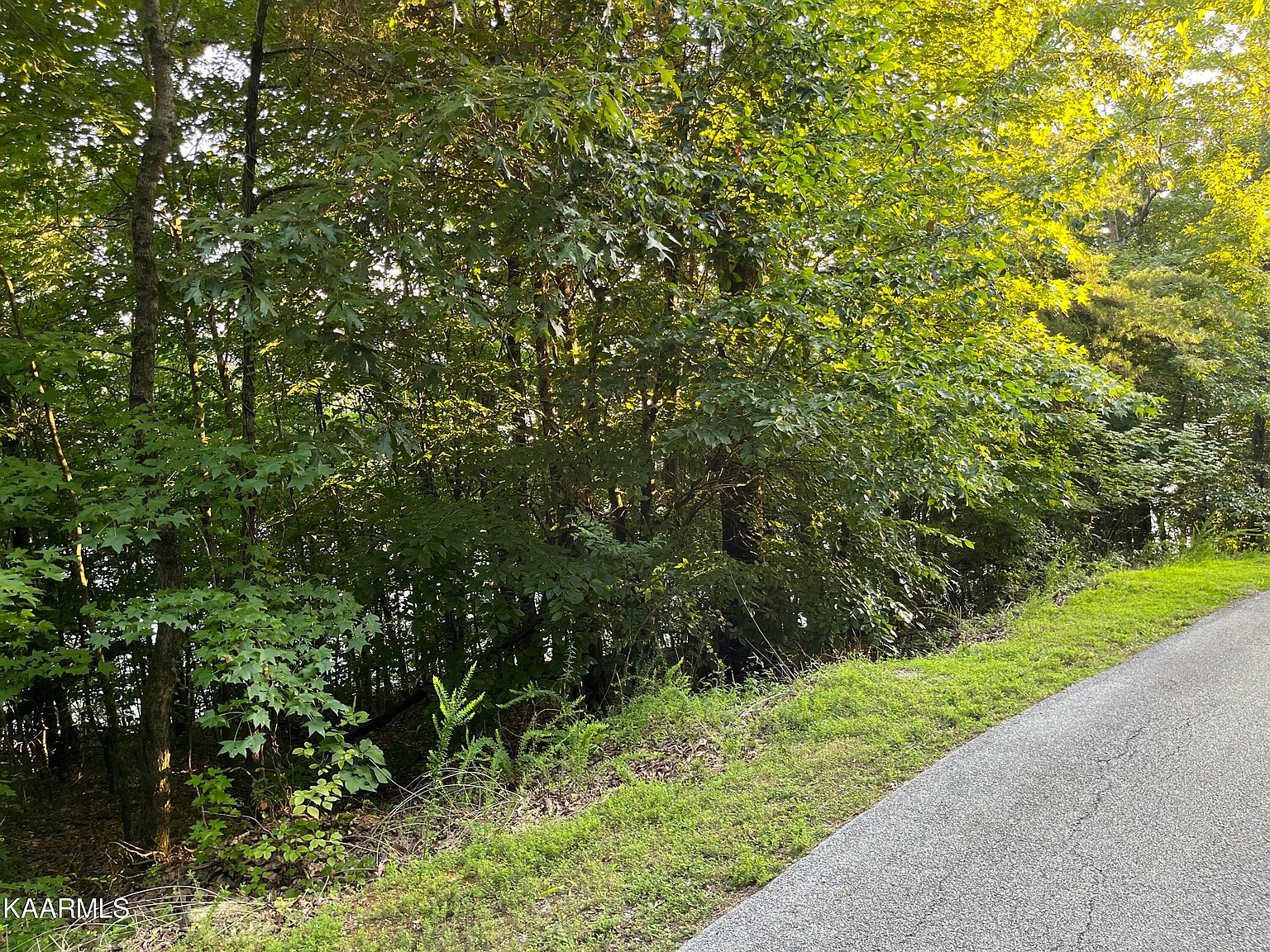 New Hope Road Lots 9 1013, Rockwood, TN 37854 Zillow