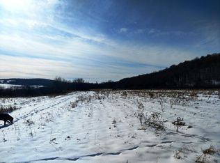 Cook Rd, Pitcher, NY 13136