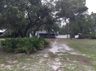 18202 Ferrera Ave, Spring Hill, FL 34610