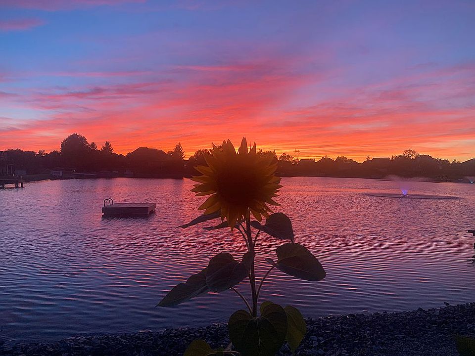 Sunflower Sunset