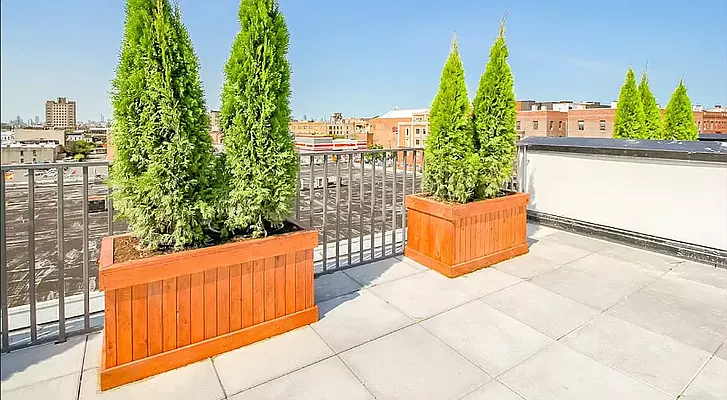 Rented by Rentopia | media 11