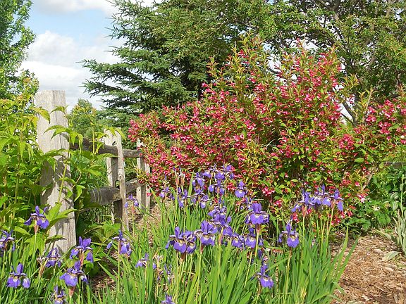 Gardens