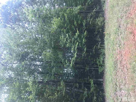 2nd image of 656 Shawnee Rd