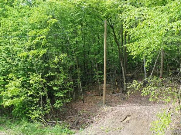 41 Dublin Terrace Rd #11, Salamanca, NY 14779