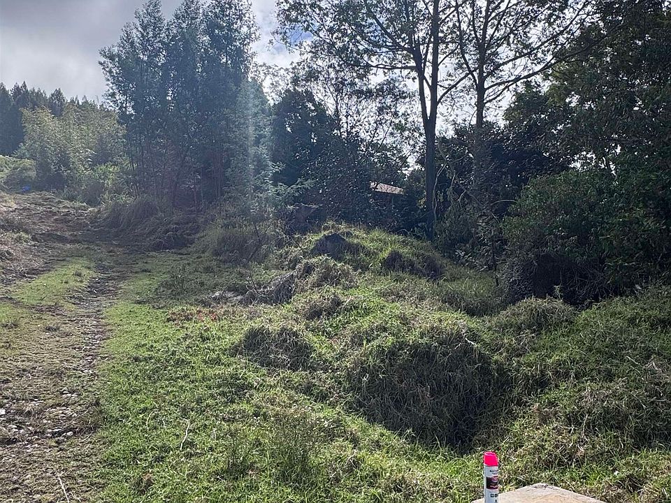 2nd image of Middle Rd