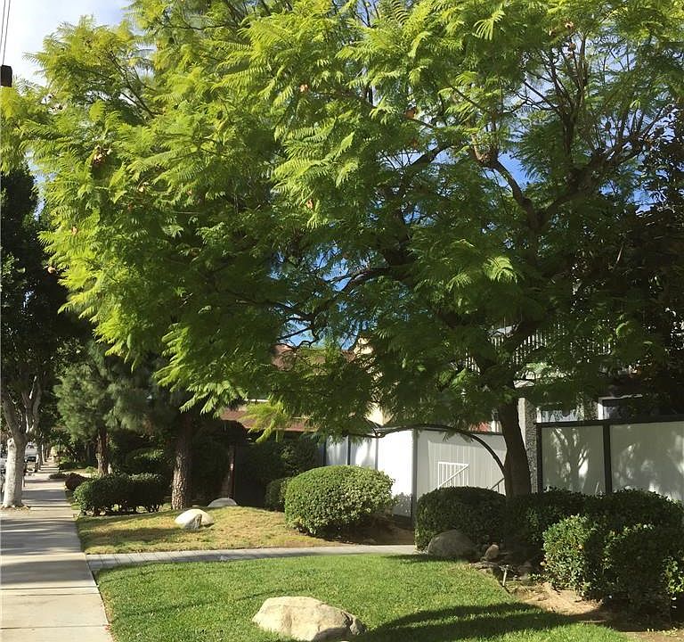 1st image of 2061 Huntington Dr #3