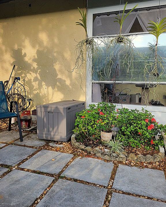 Back patio