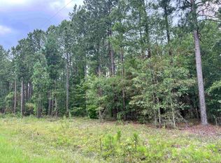LOT 39 Regina Dr, Dublin, GA 31021