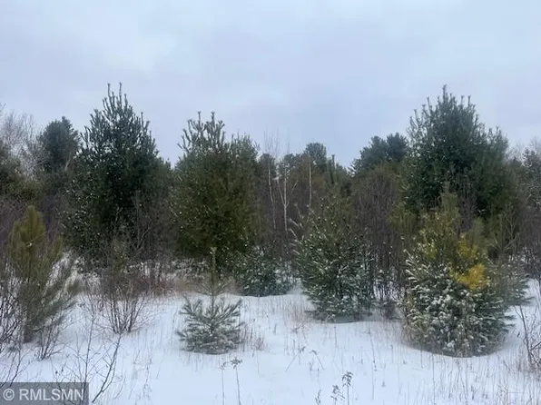 Tbd Onigum Rd NW, Walker, MN 56484