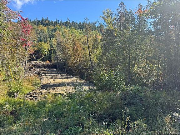 2nd image of Frye Rd